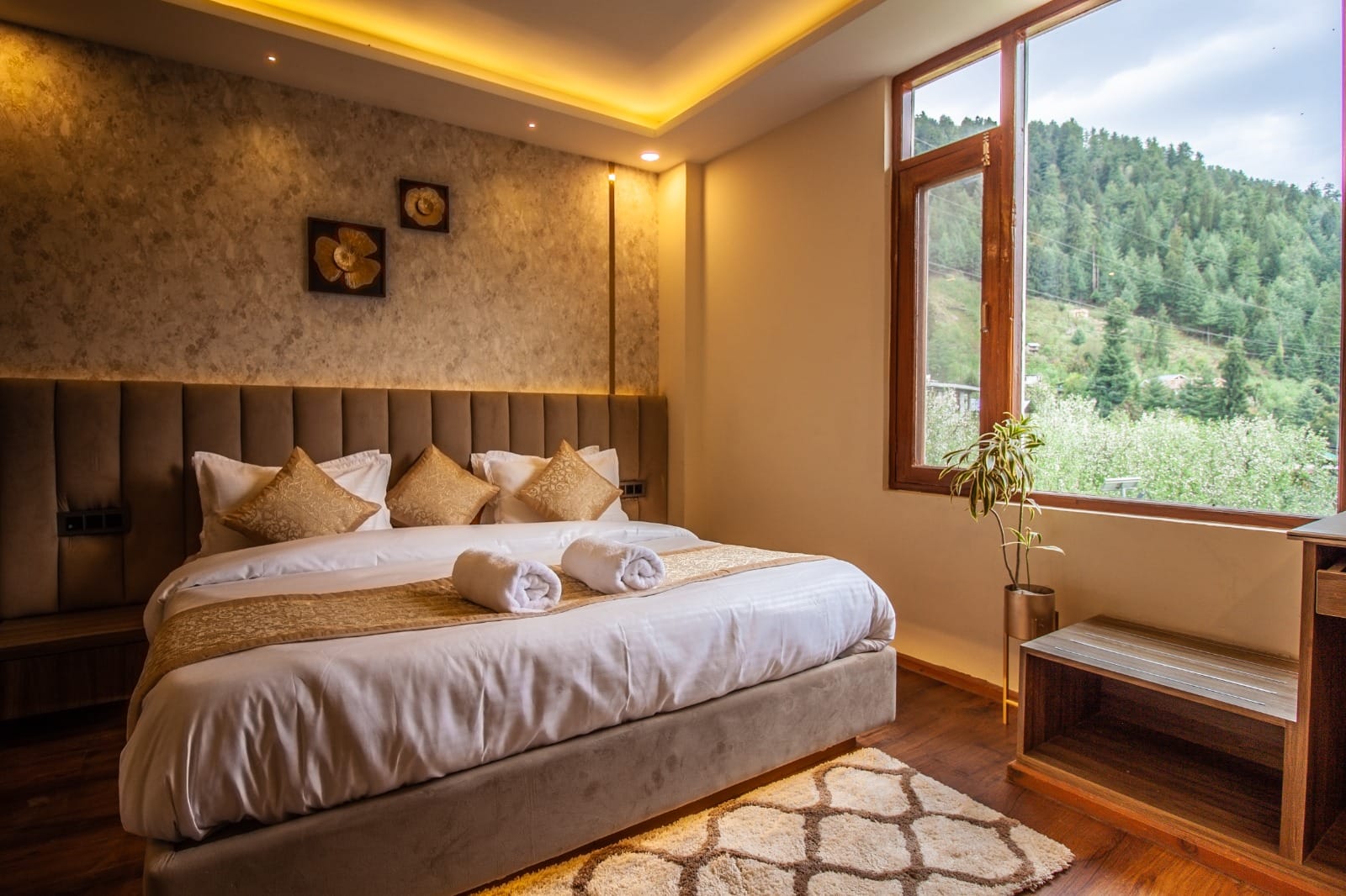 Luxury Room